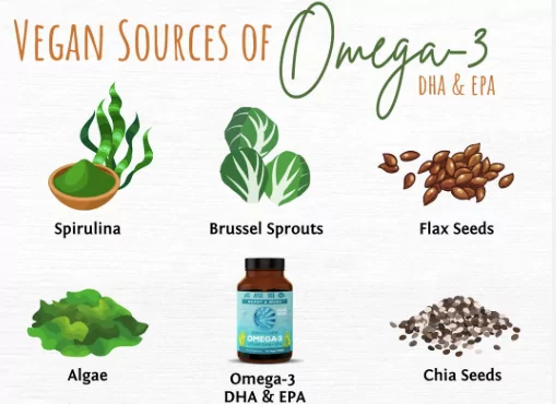 You are currently viewing Vegan Sources of Omega 3
