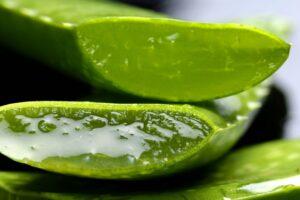 Read more about the article Best Remedies for Sunburn