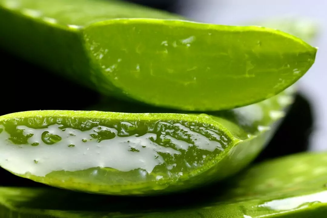 You are currently viewing Best Remedies for Sunburn